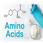 Amino Acids