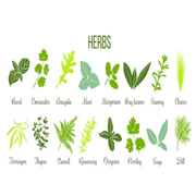 Herbs