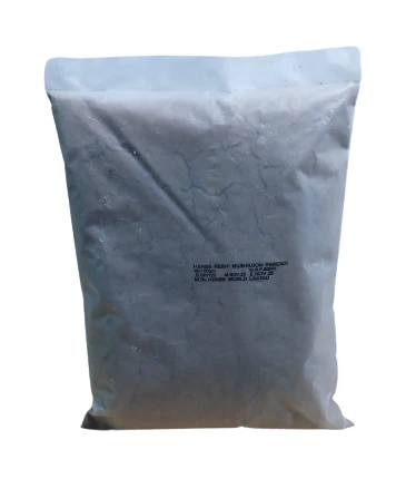 HERBS REISHI MUSHROOM POWDER 100 GRAMS