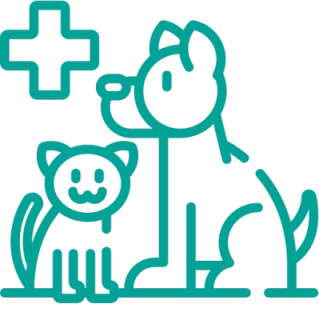 Pet Care