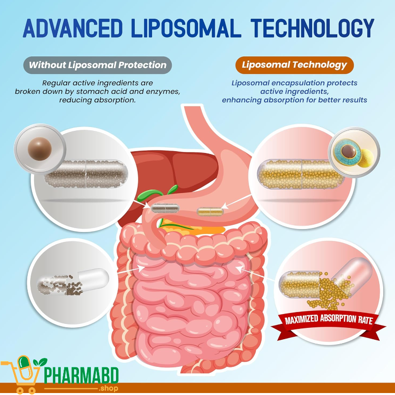 Liposomal NAD+ 600mg with Resveratrol 200mg, 90 Capsules