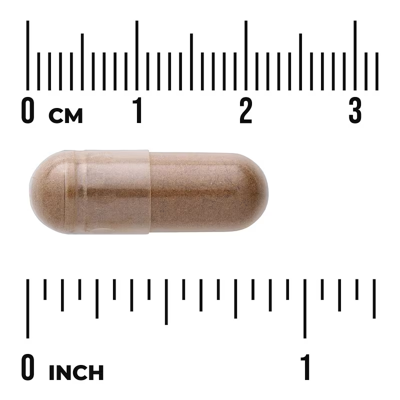 Swanson Full Spectrum Burdock Root, 100 Capsules